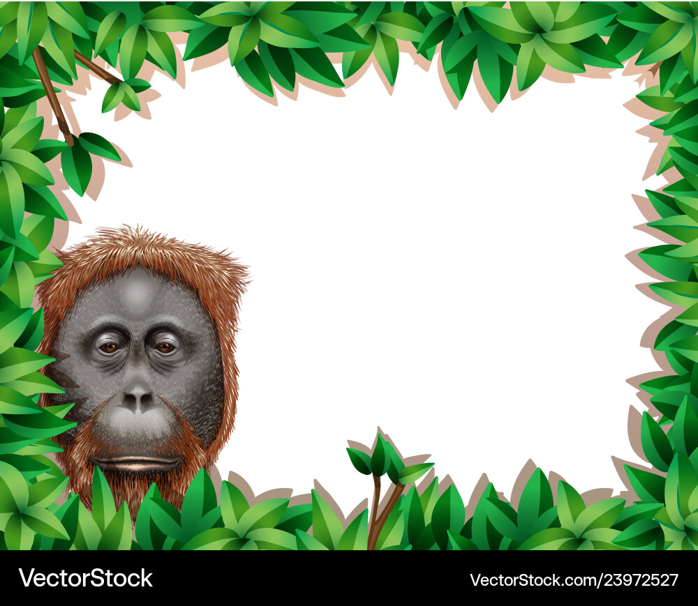 Monkey in leaf frame Royalty Free Vector Image