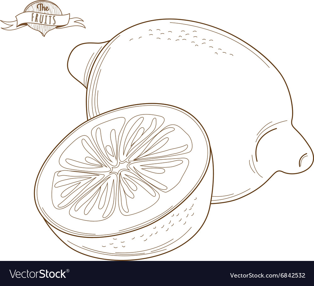 lemon outline