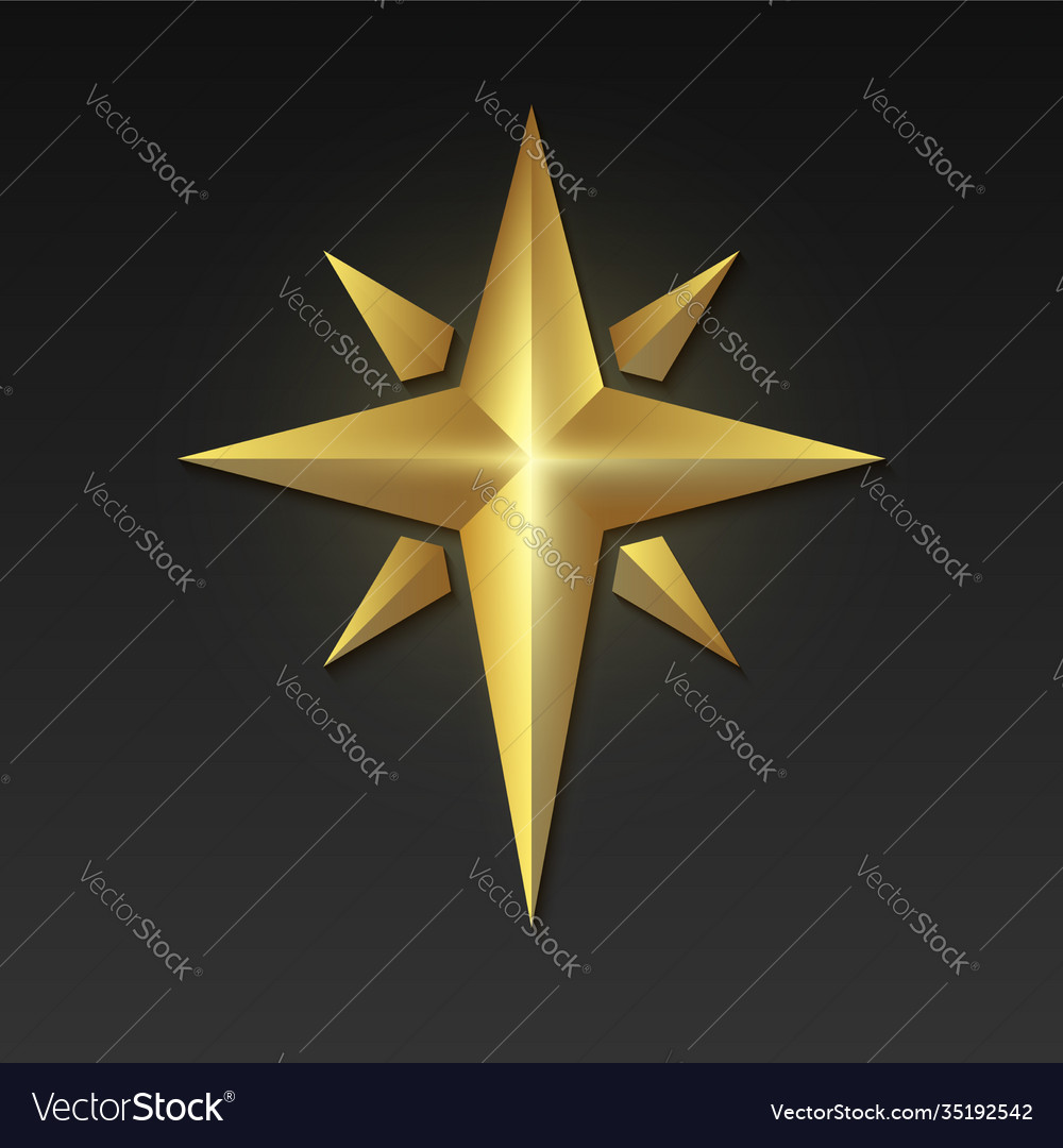 Golden bethlehem star shape gold on dark Vector Image