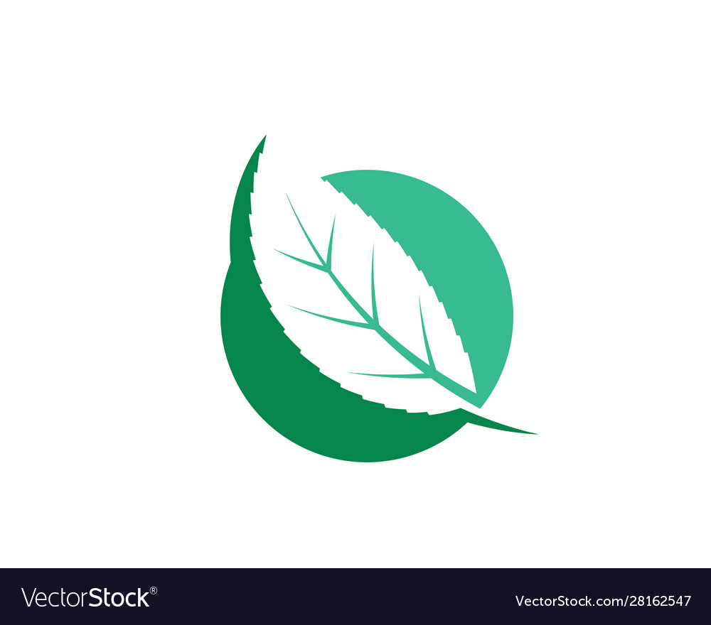 Green leaf ecology nature element icon go Vector Image