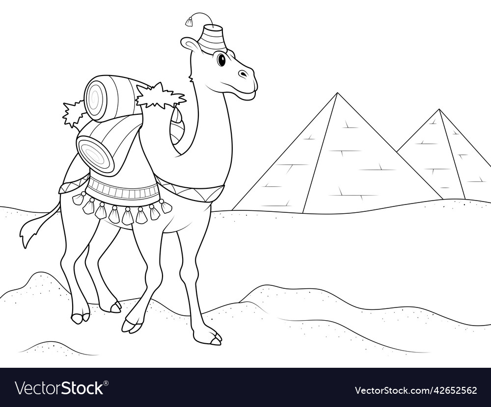 Camel transporting cargo through the egyptian