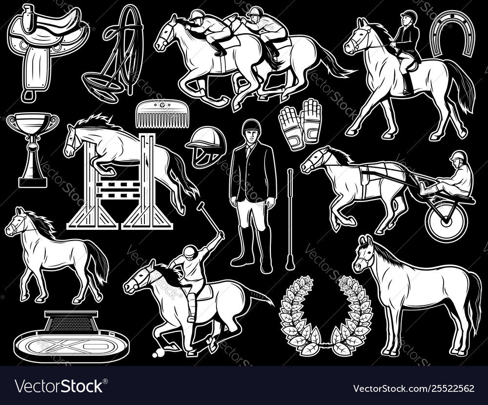 Equestrian club jockey polo horse riding items vector image Equestrian club jockey polo horse riding items