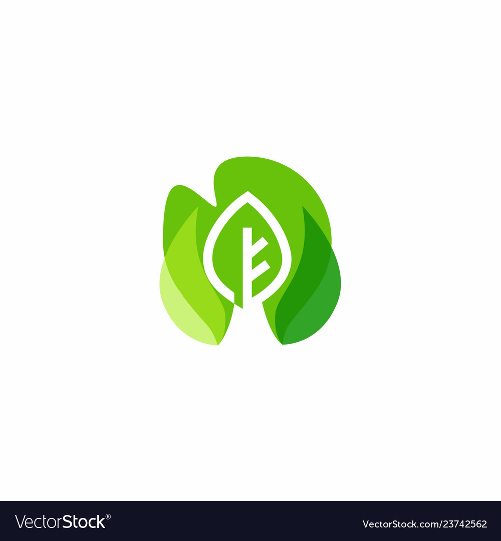 Листья растений. Листок липы. Smart leaves. Smart leaves. Листья деревьев.