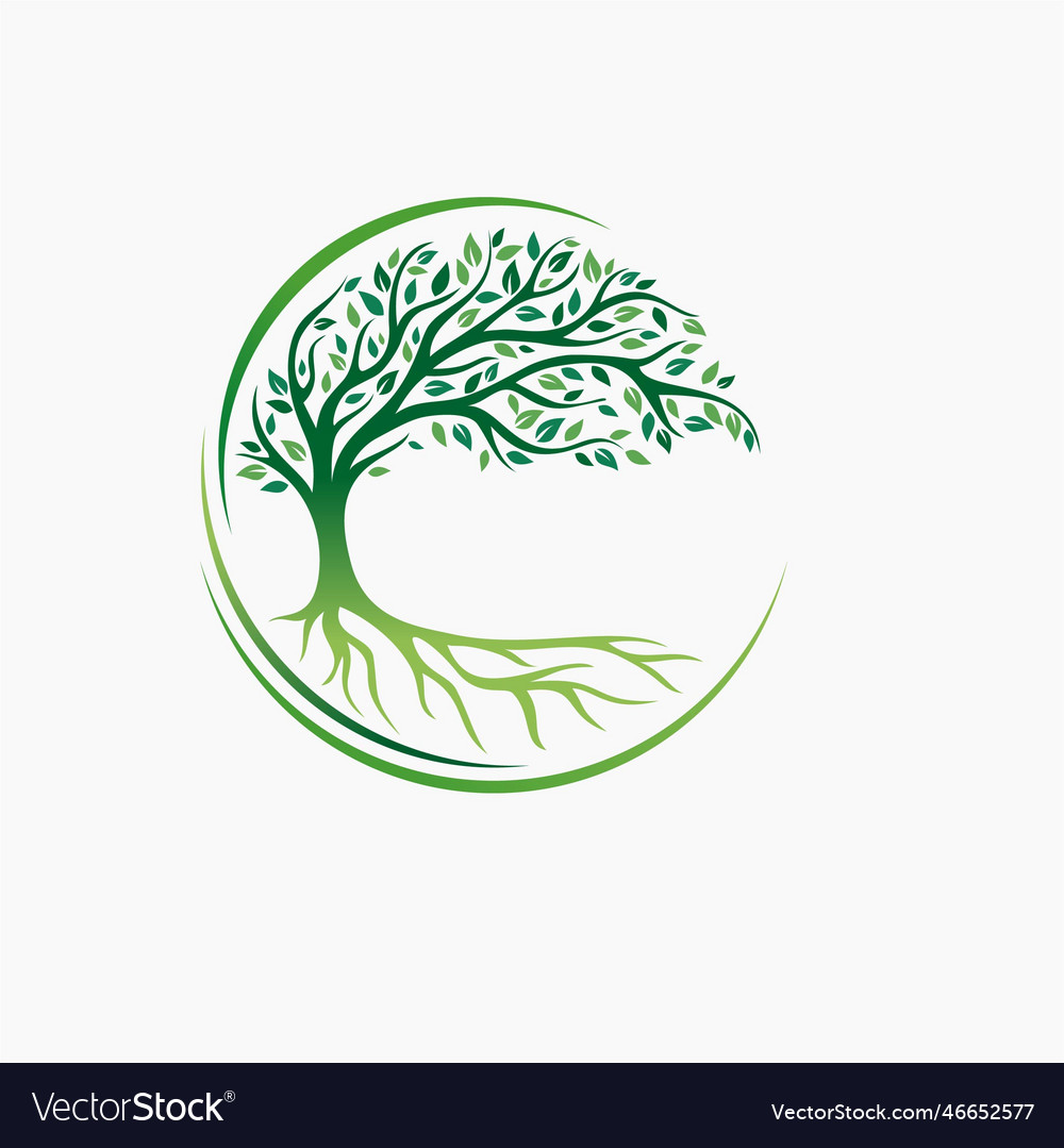 Growing tree with the leaves Royalty Free Vector Image