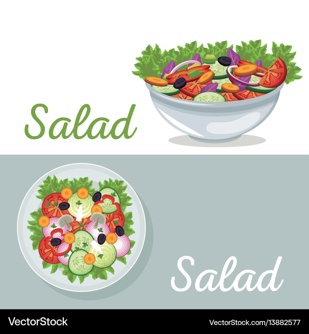 Salad vegetables nutrition dinner poster Vector Image