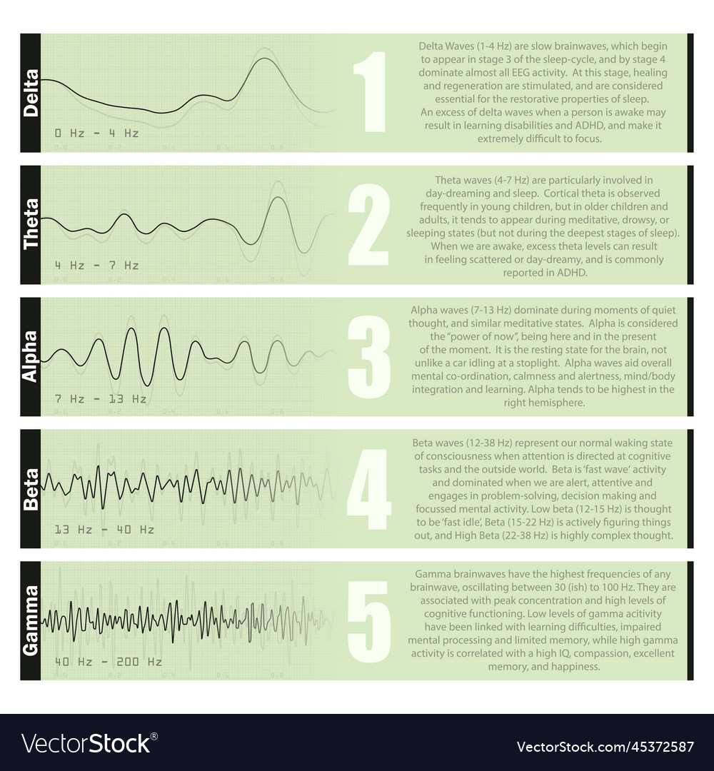 Different brain waves diagrams Royalty Free Vector Image