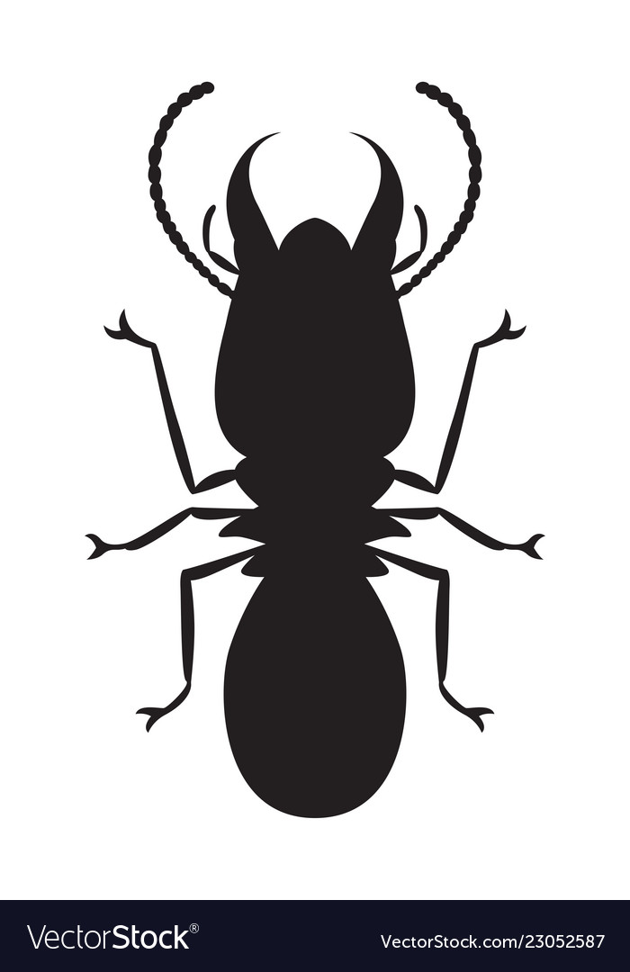 Featured image of post Silhouette Termite Vector Vector illustration of a silhouette of a termite