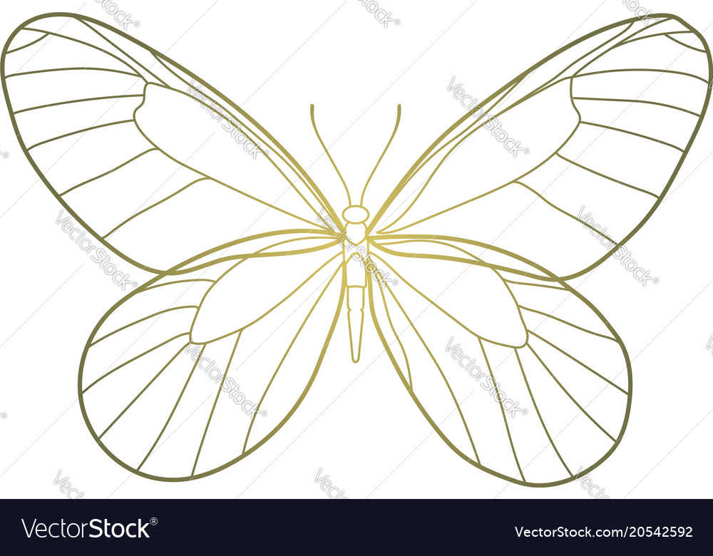 Butterfly with golden gradient concept for design Vector Image