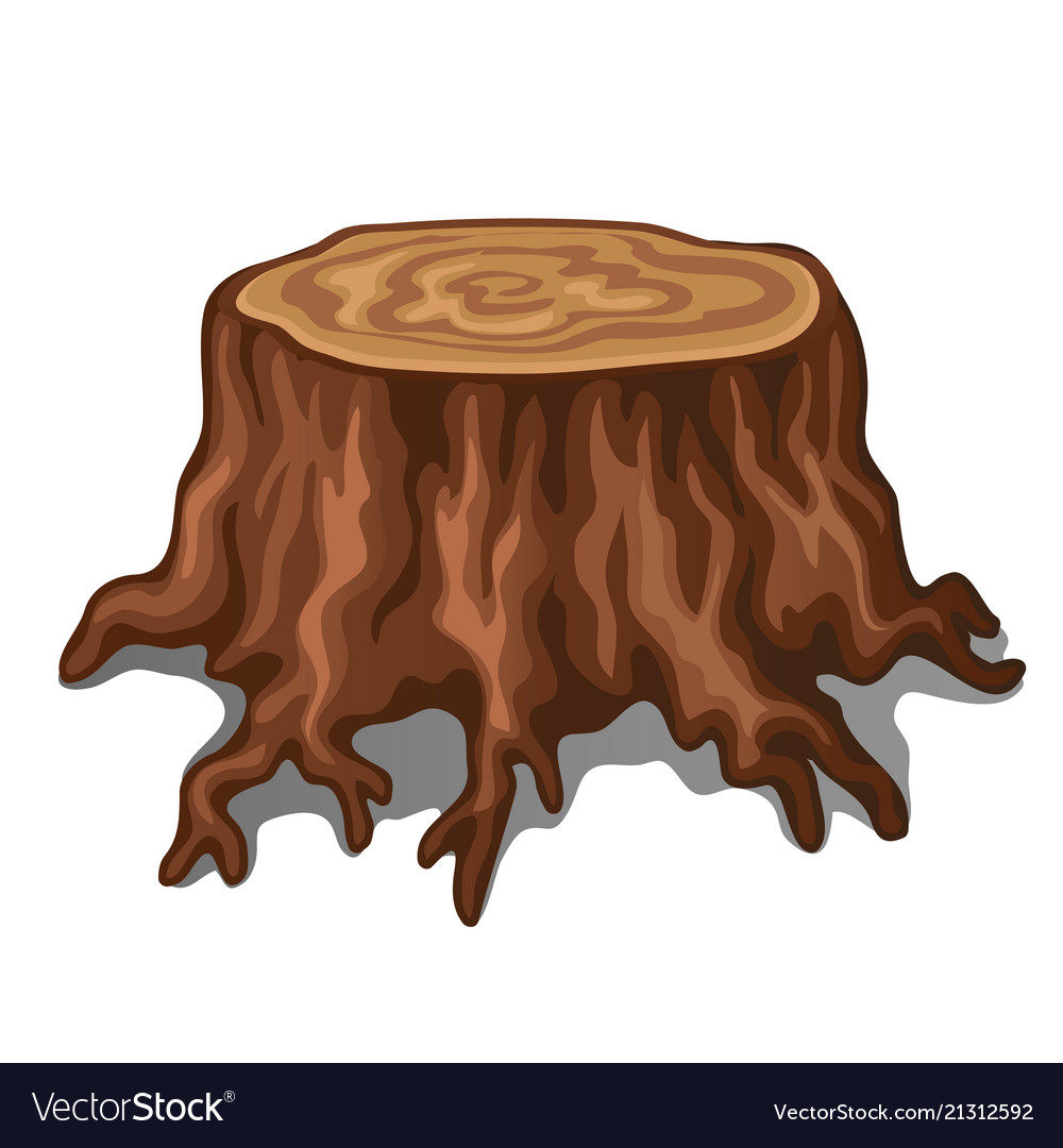 Old Stump Of A Tree With Roots Isolated On White Vector Image