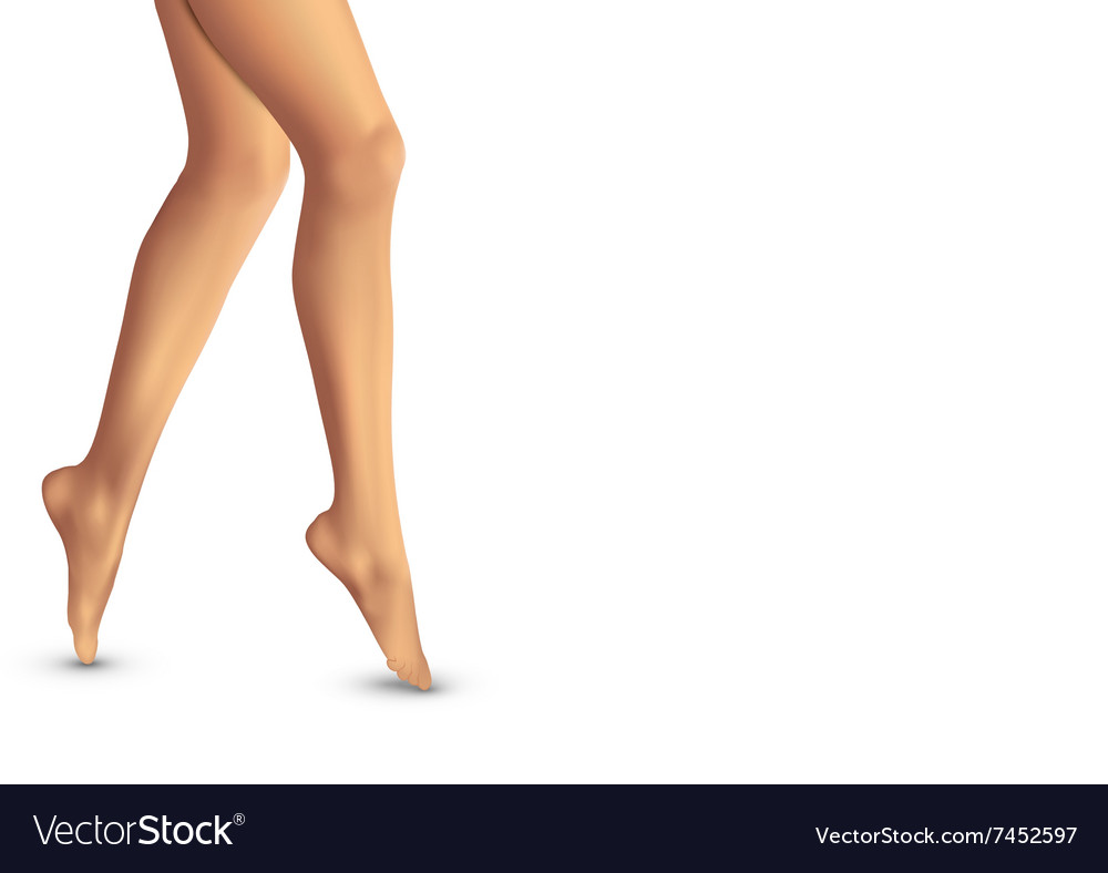 Beautiful women legs on white background Vector Image