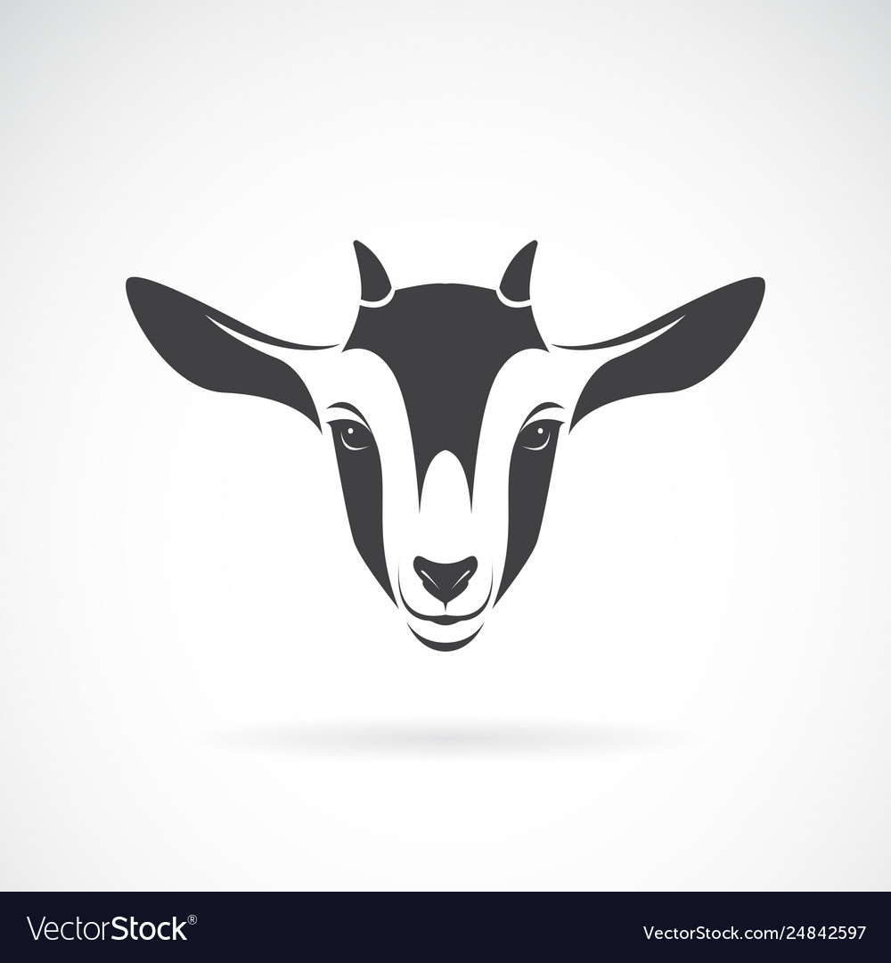 Goat head design on a white background animal Vector Image