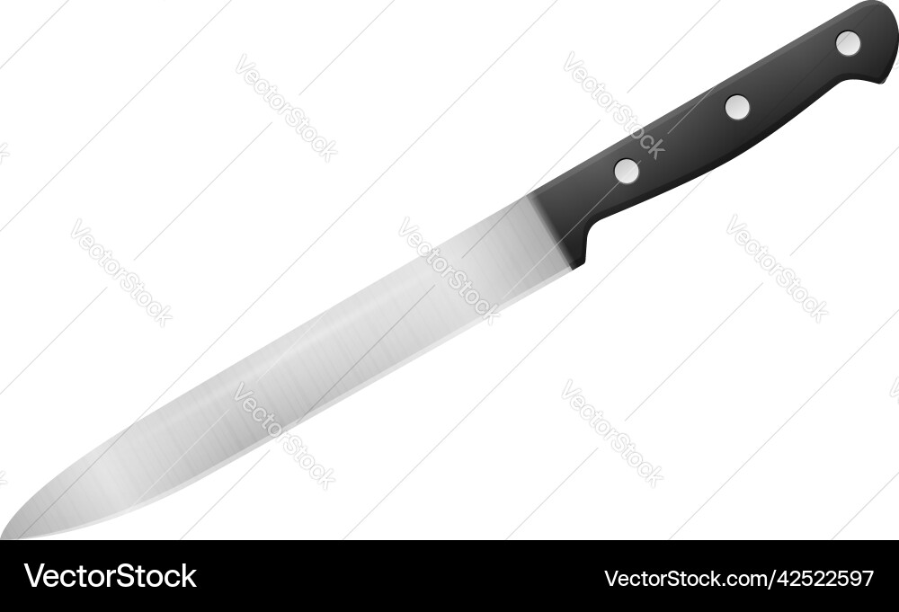 Kitchen knife Royalty Free Vector Image - VectorStock