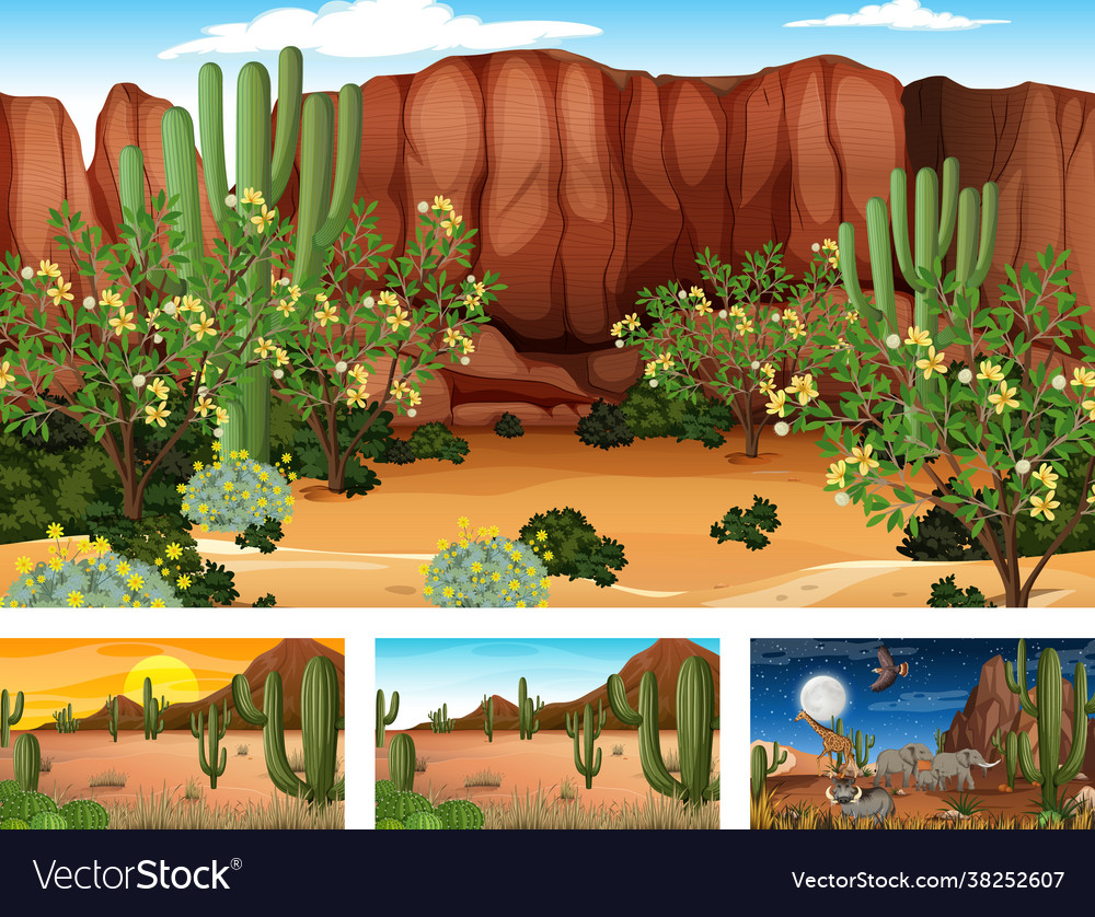 Four different desert forest landscape scenes Vector Image