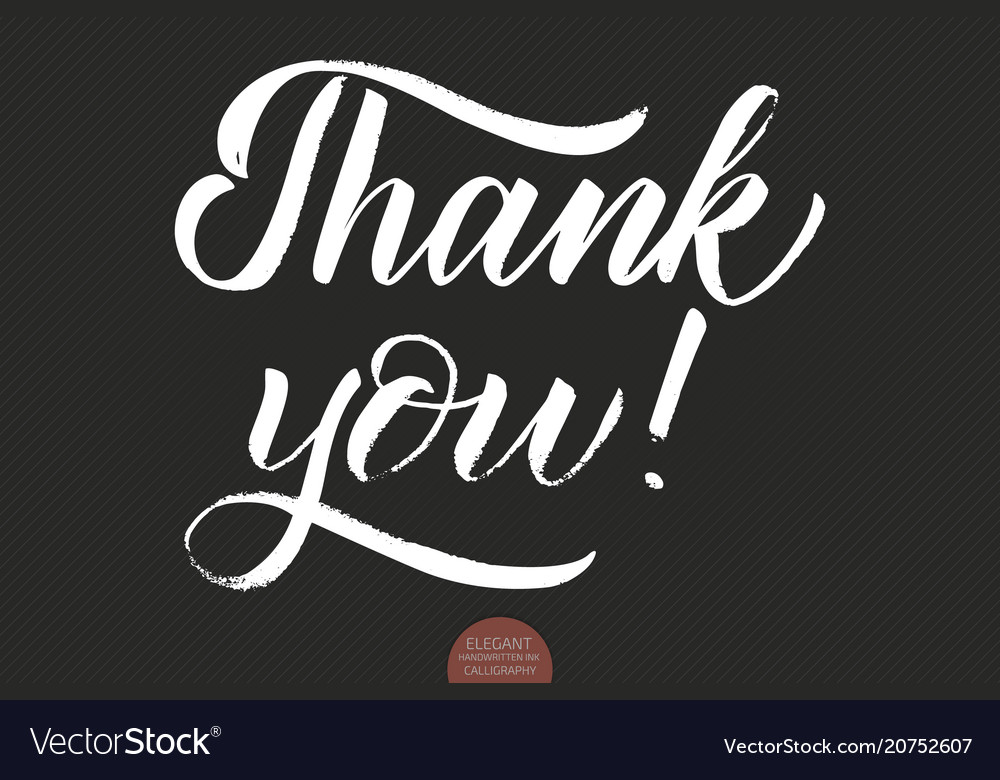 Hand drawn lettering thank you elegant Royalty Free Vector