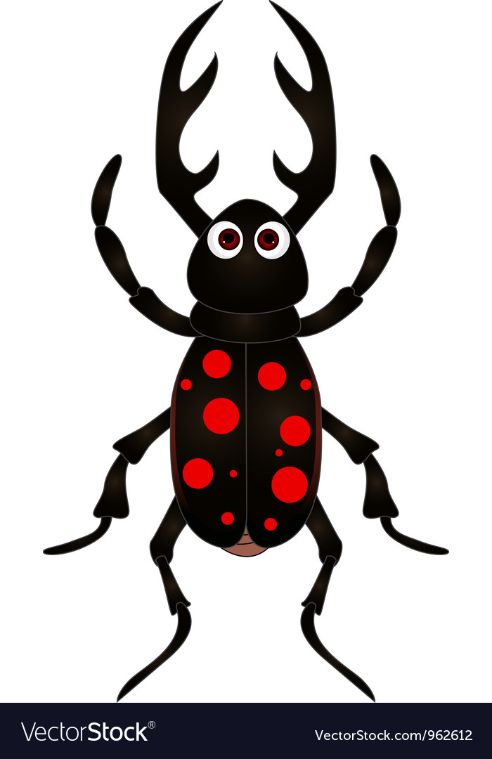 Cartoon beetle on white background