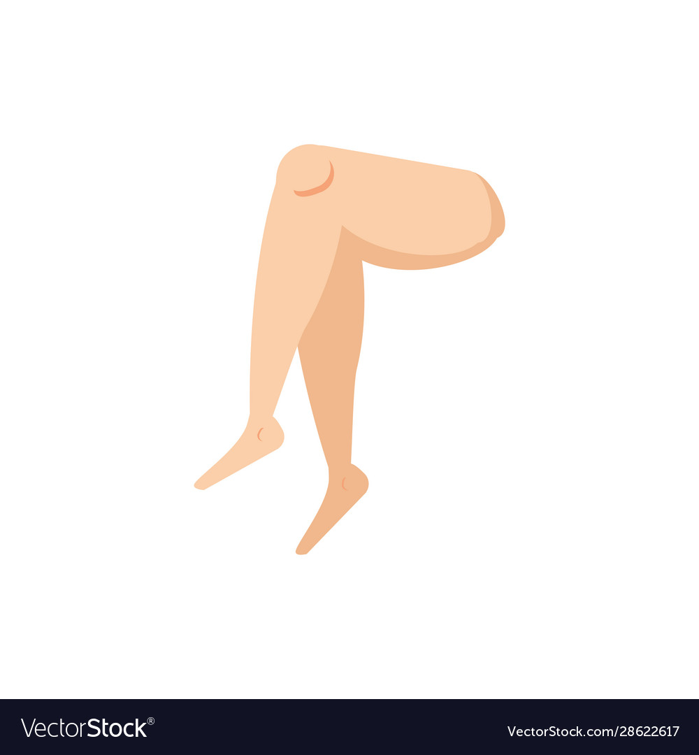 Isolated legs icon design Royalty Free Vector Image