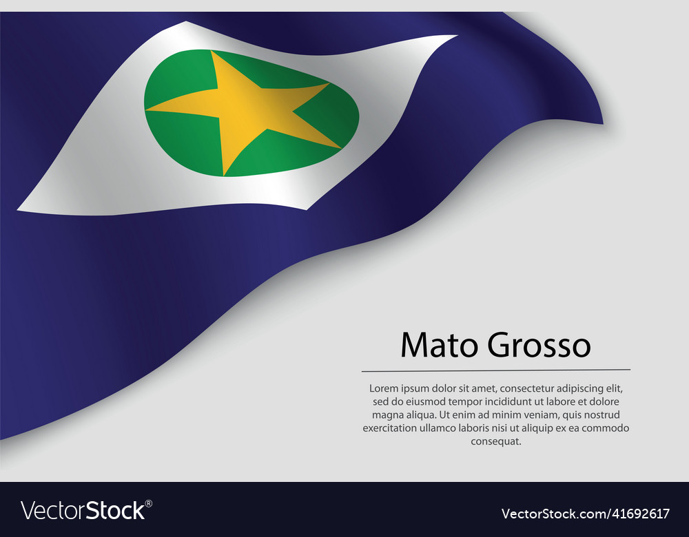 Wave flag of mato grosso is a state of brazi Vector Image