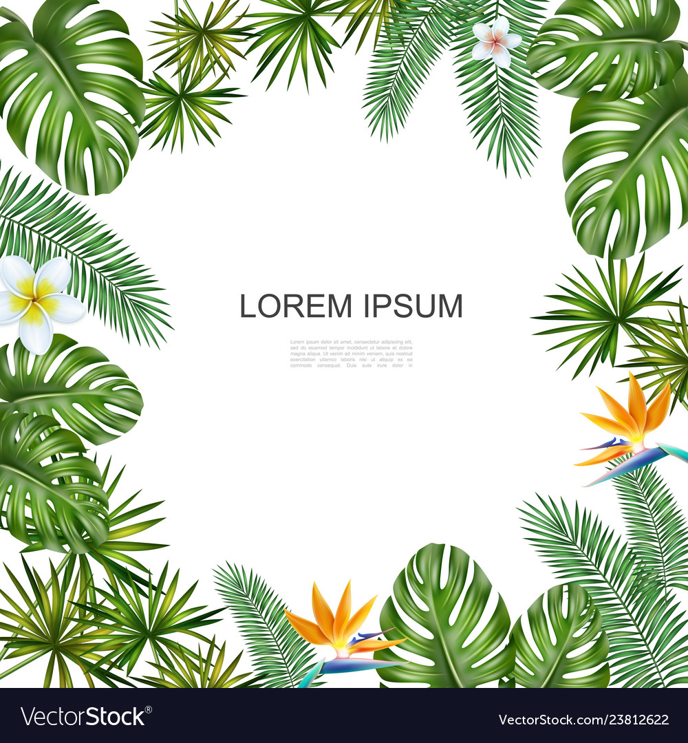 Realistic tropical flowers concept Royalty Free Vector Image