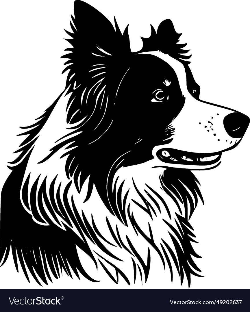 Border collie - black and white isolated icon