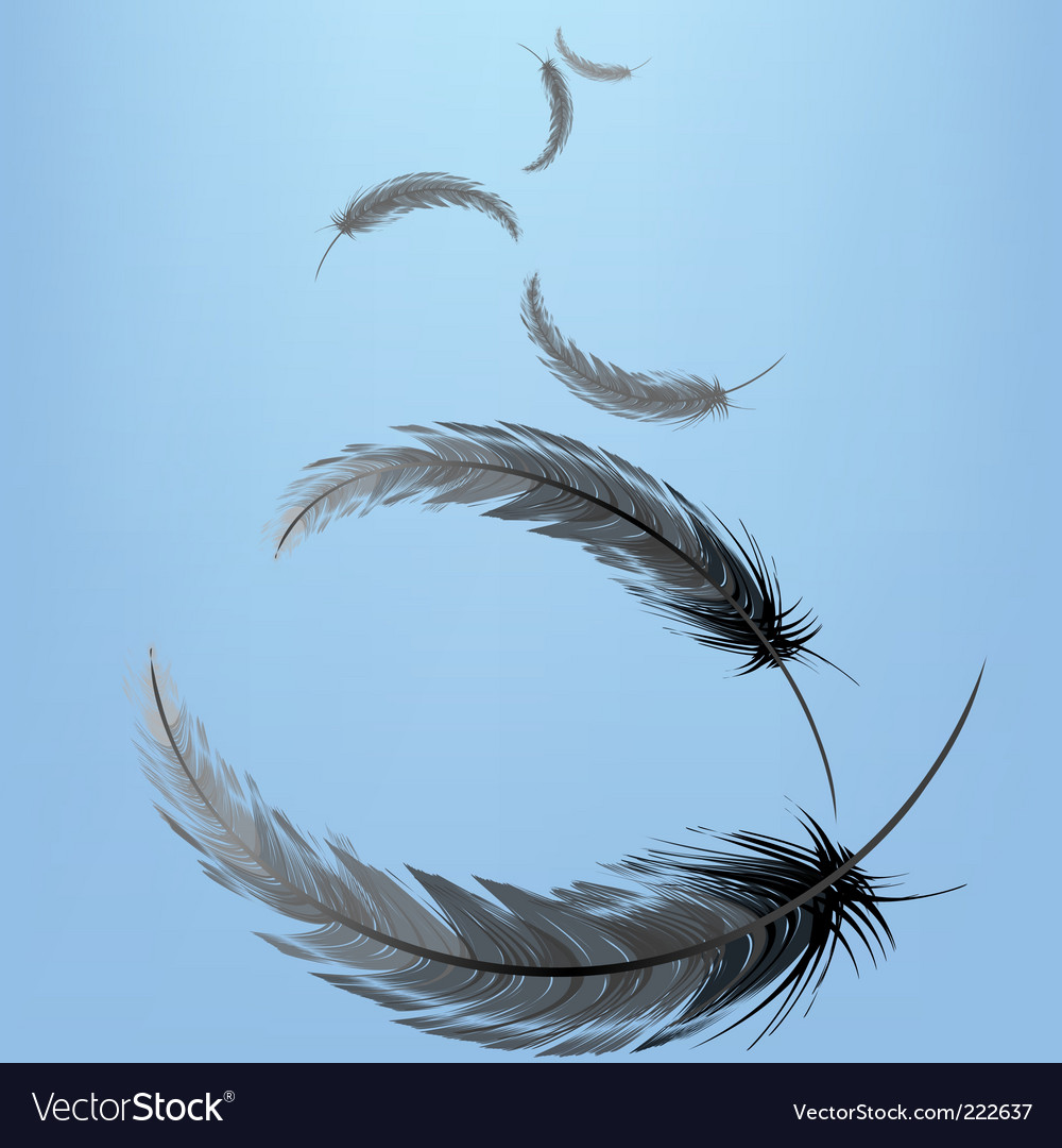 Feathers in the wind