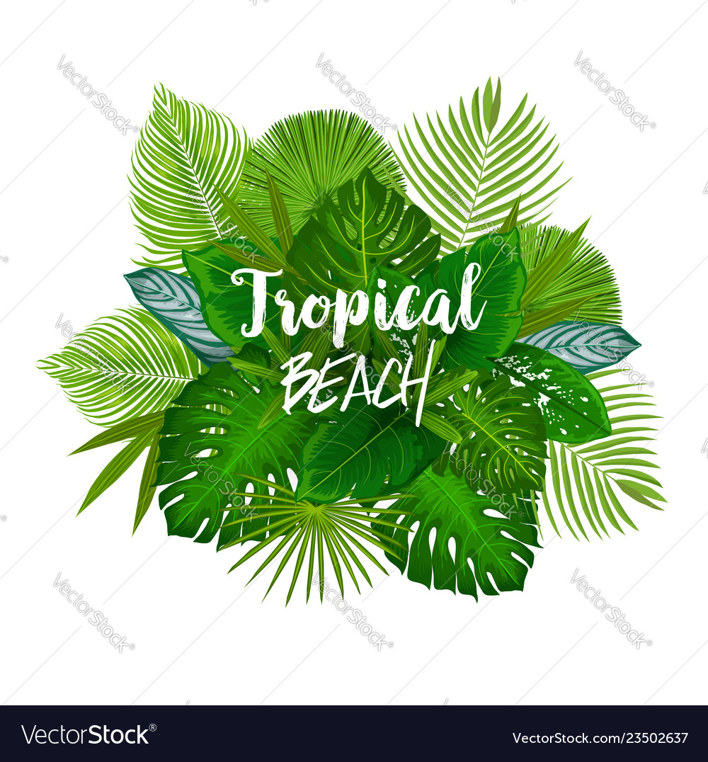 Summer tropical palm and exotic tree leaves poster