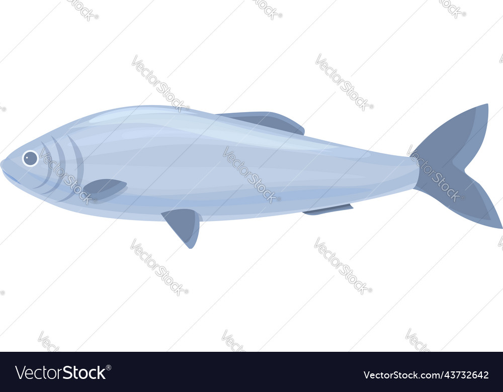Herring fish icon cartoon baltic seafood Vector Image
