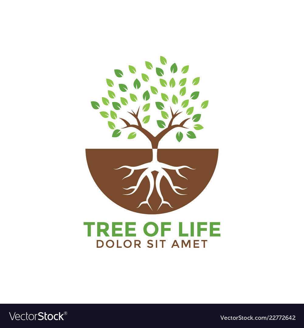 Tree life graphic design template Royalty Free Vector Image