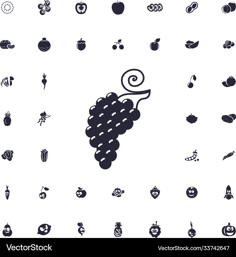 Grape icon Royalty Free Vector Image - VectorStock