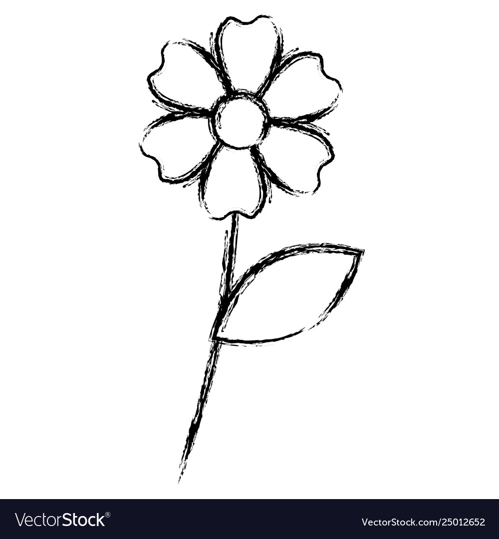 Beautiful flower drawing monochrome Royalty Free Vector