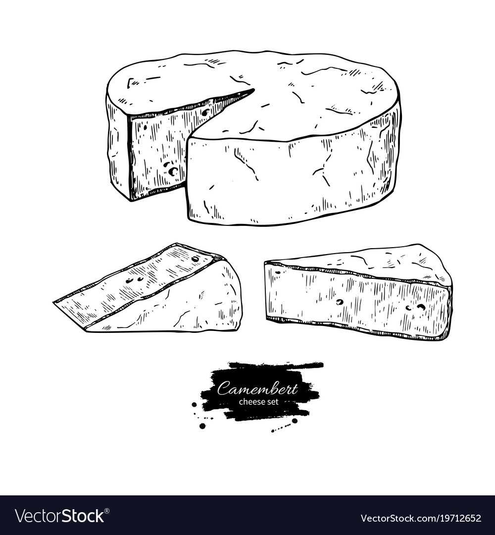 Camembert cheese block and triangle drawing Vector Image