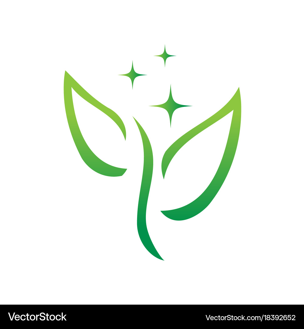 Leaf Royalty Free Vector Image - VectorStock