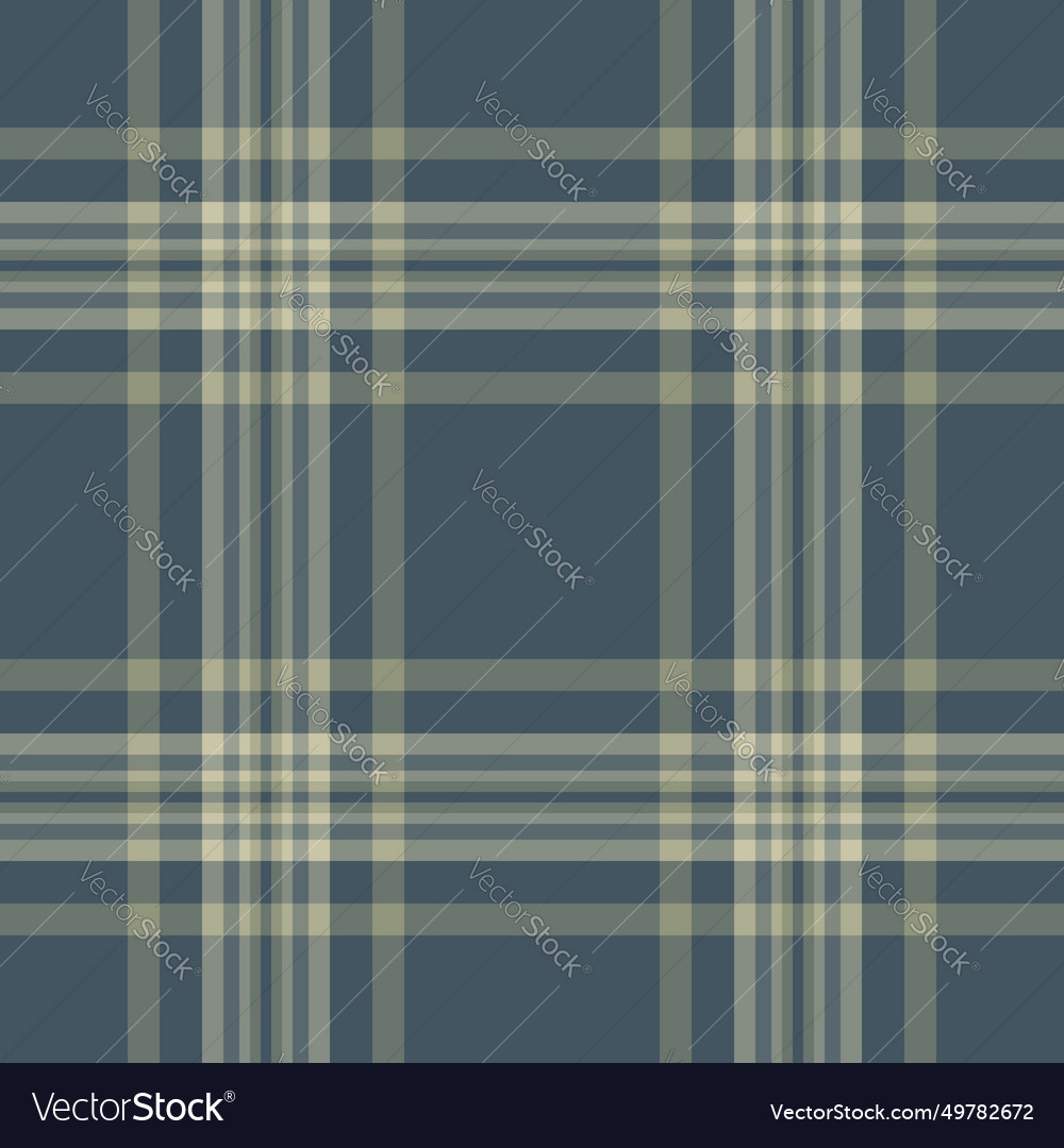 Texture seamless fabric of check pattern Vector Image