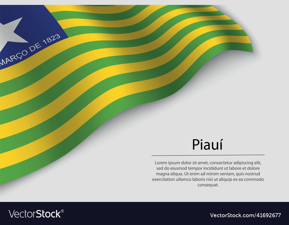 Premium Vector  Flags of the states of brazil