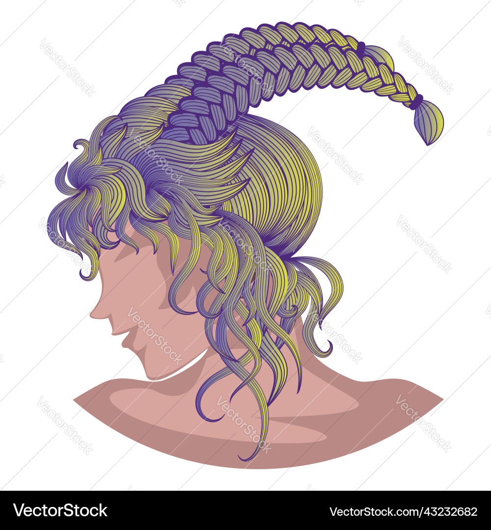 Braided female hairstyle Royalty Free Vector Image