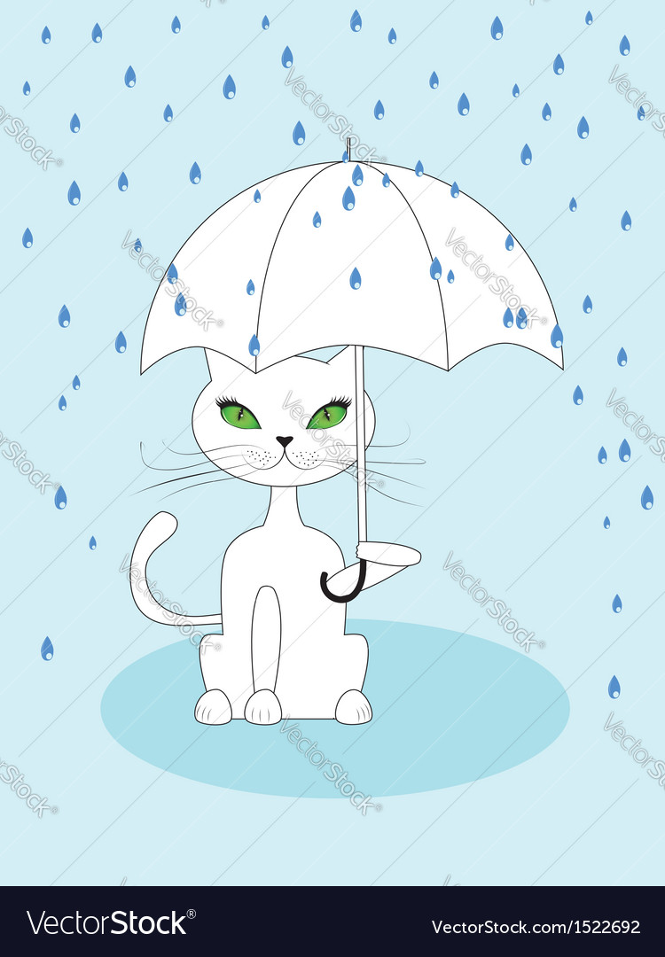 Cat under rain