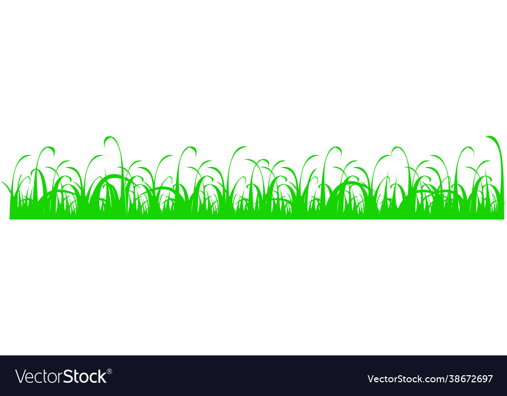 Green grass meadow spring or summer plant field