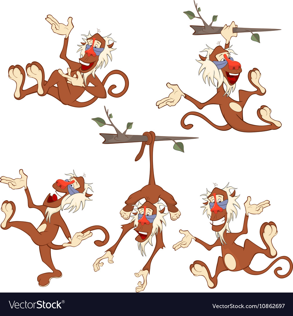 Set cartoon cute monkeys