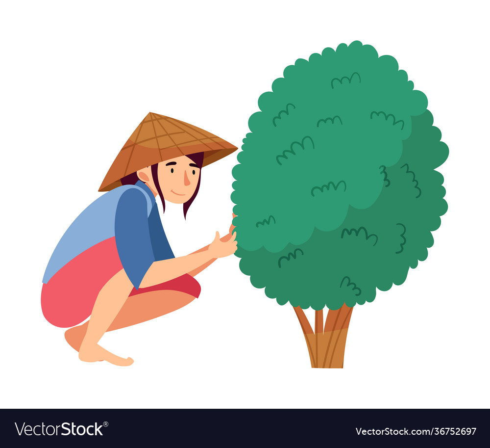 Vietnamese Woman Farmer In Straw Conical Hat Vector Image 0885