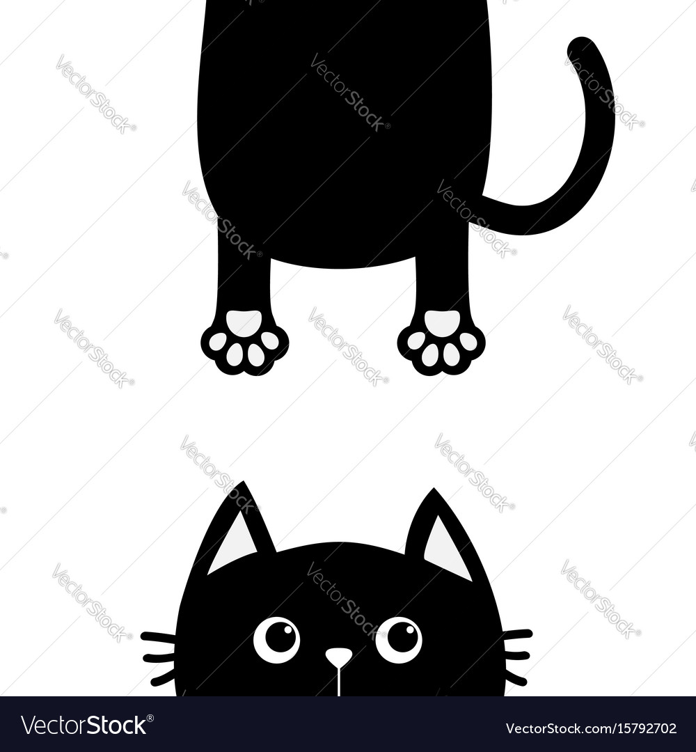 funny black cat icon vector illustration design Stock Vector Image