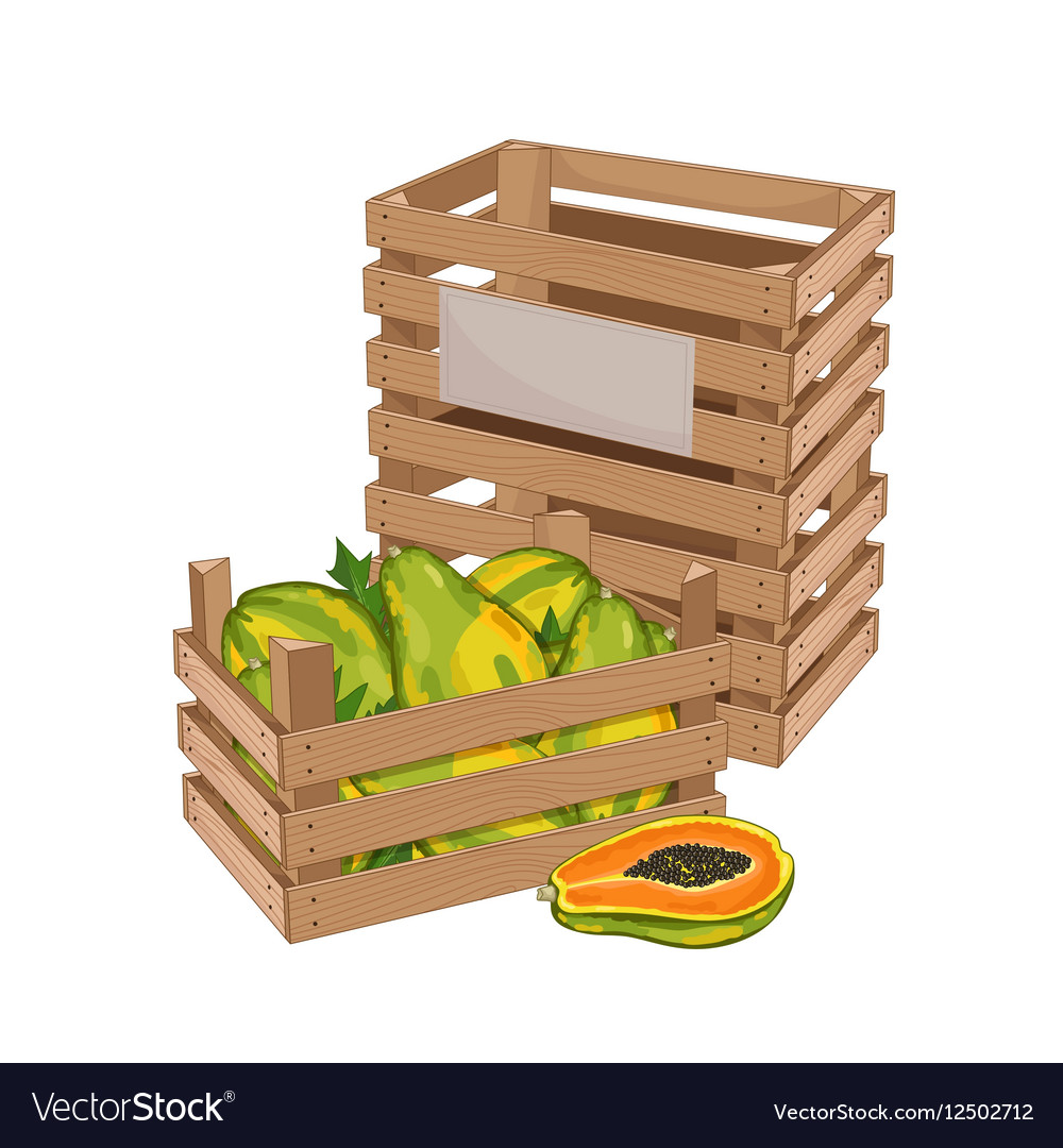 Wooden box full of papaya isolated