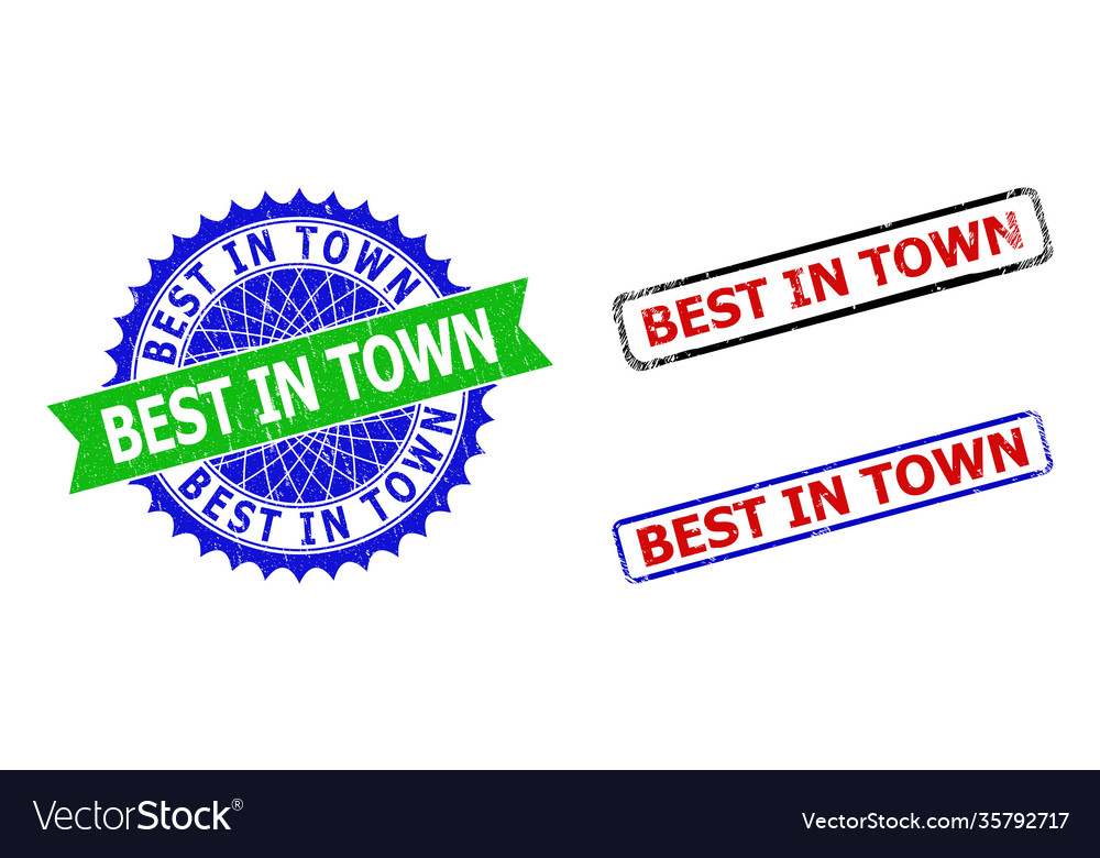 Best in town rosette and rectangle bicolor seals Vector Image