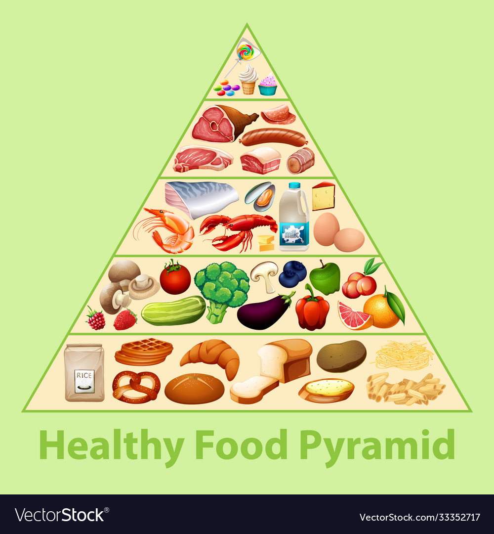 Healthy Food Pyramid Chart Royalty Free Vector Image