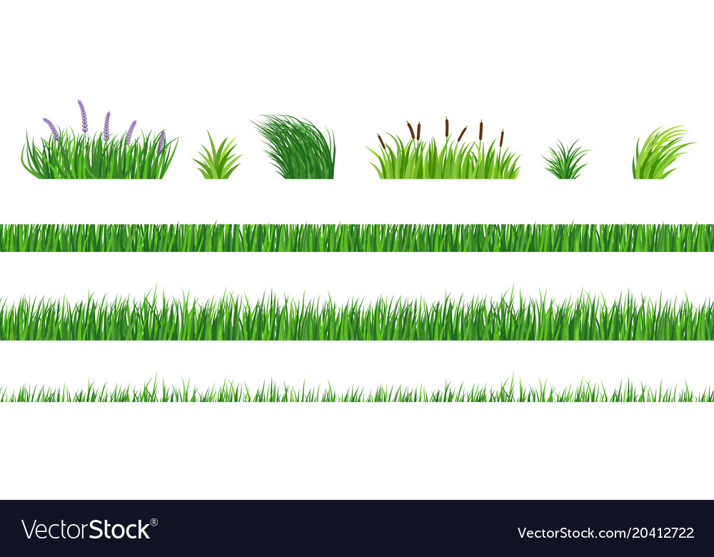 Grass elements Royalty Free Vector Image VectorStock