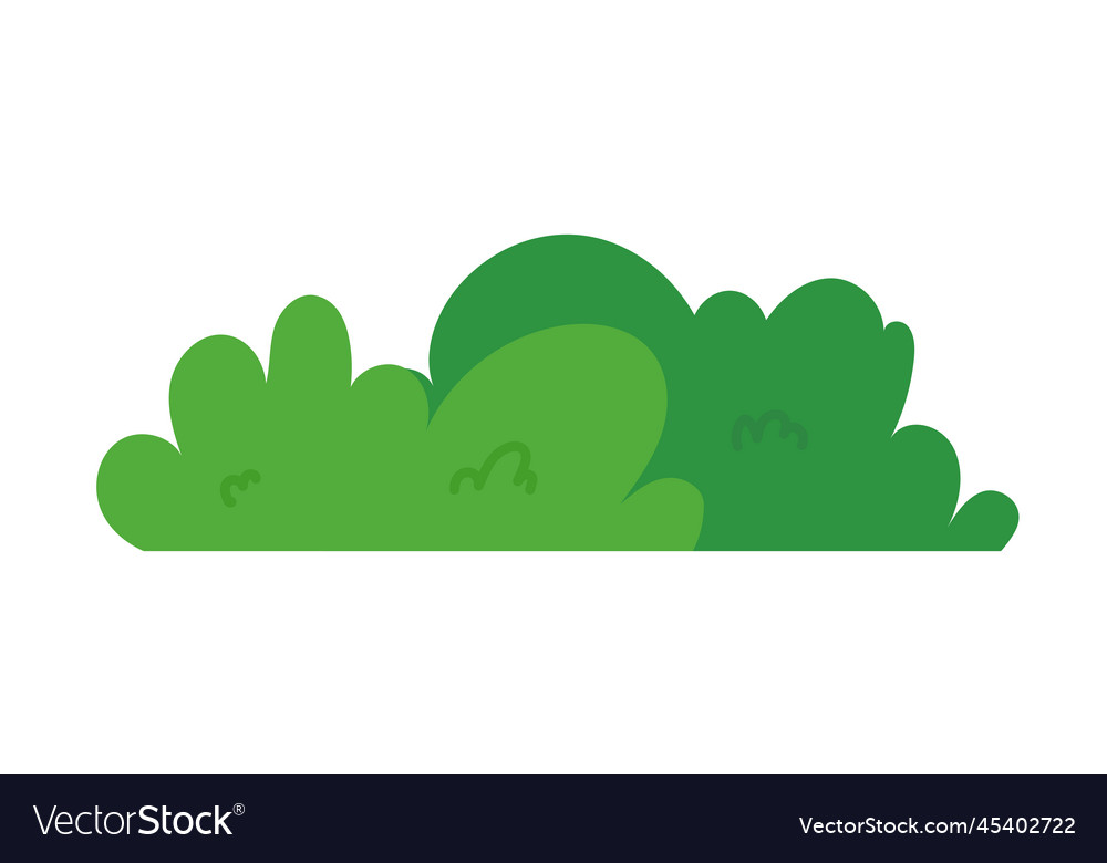 Natural green grass bushes decorate environmental Vector Image