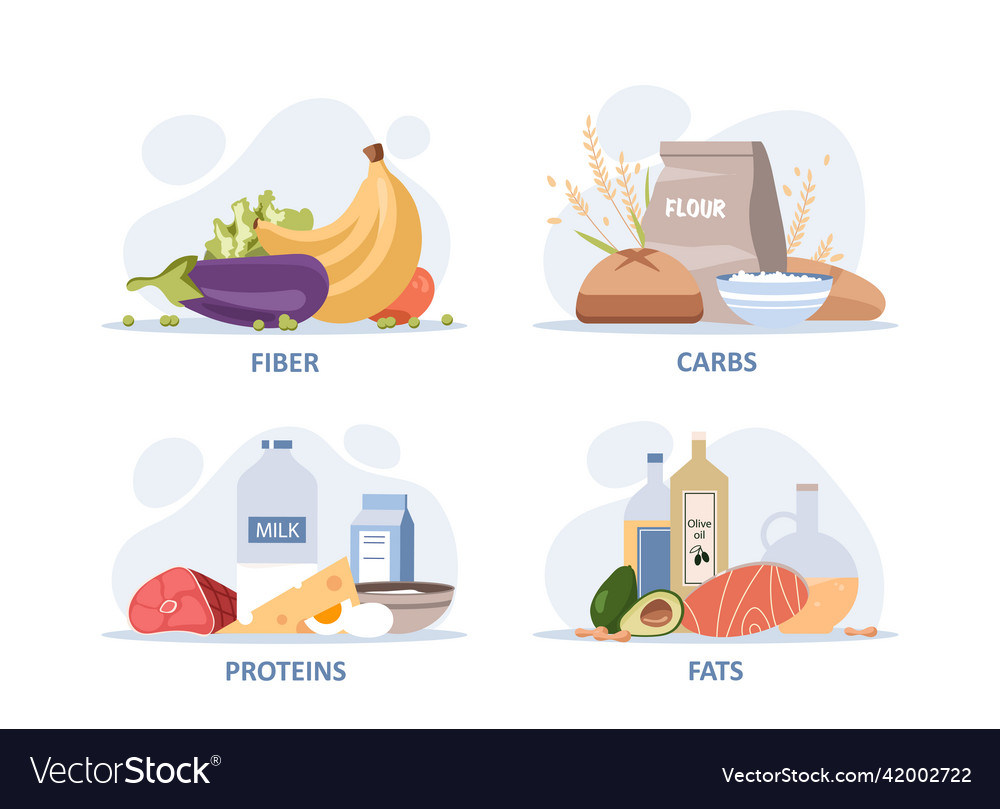 Useful macronutrients set Royalty Free Vector Image