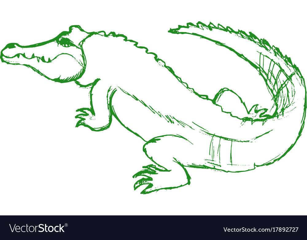 Crocodile Big Reptile Royalty Free Vector Image,Overlapping Objects Overlapping Fruits Drawing