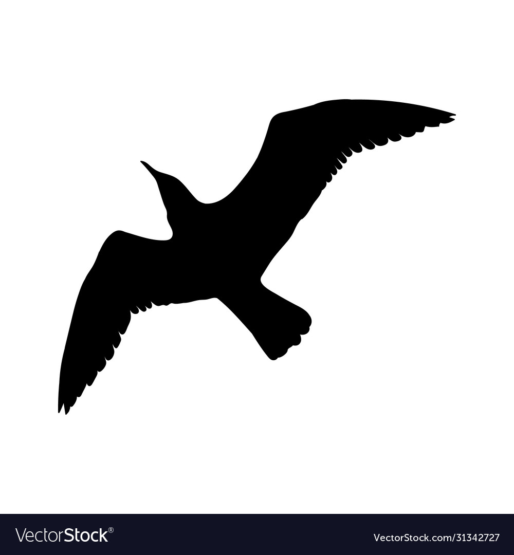 Flying seagull bird black silhouette isolated Vector Image