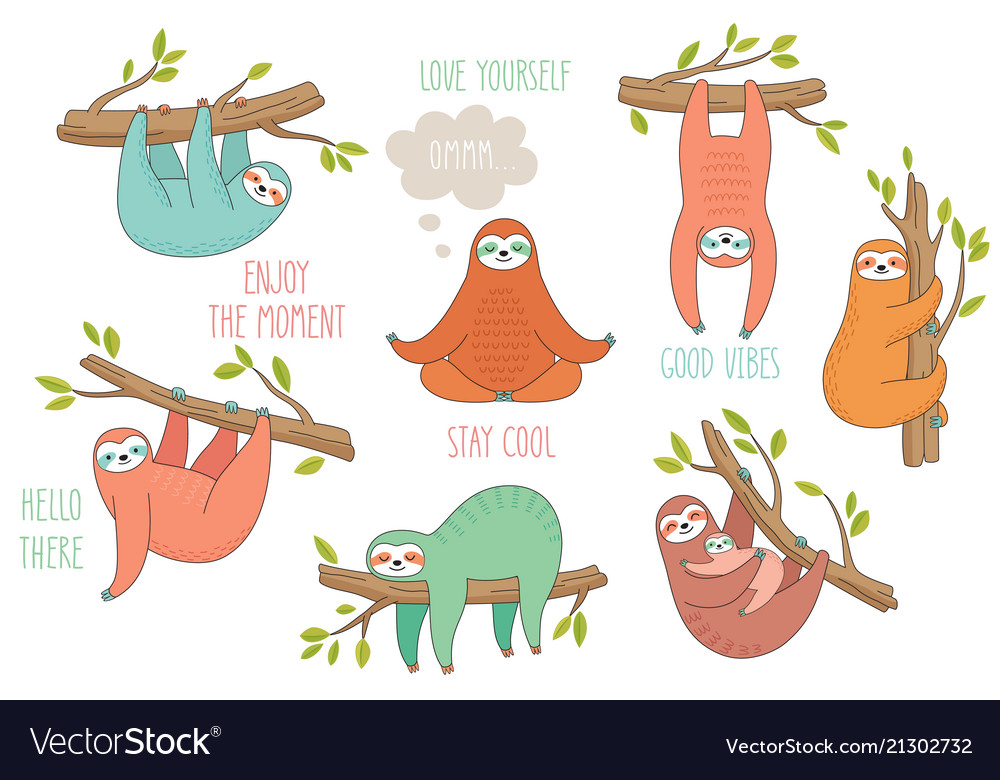 Set of cute hand drawn sloths hanging on the tree