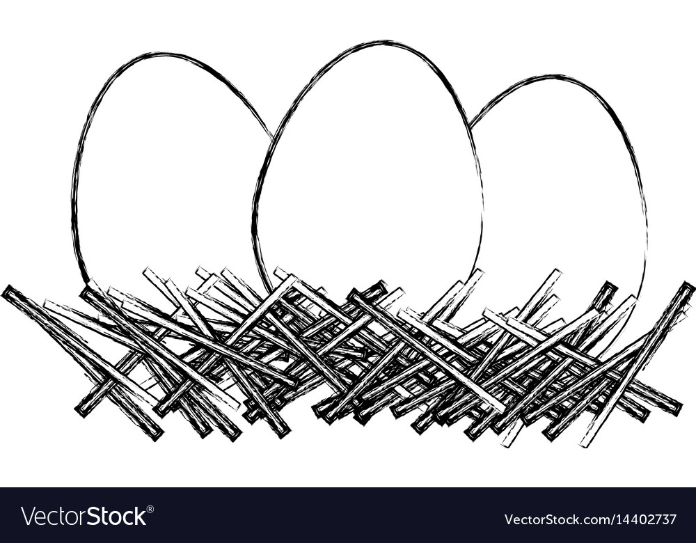 Monochrome sketch of nest with eggs