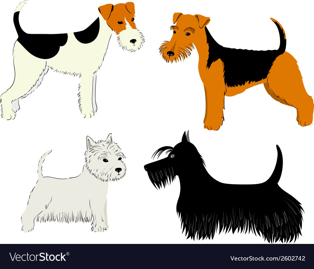 Dogs breeds